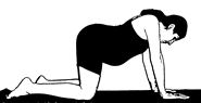 back exercise