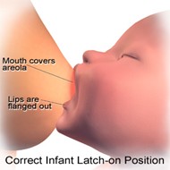 how to breast feed diagram