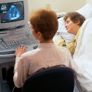 Heart Echo Ultrasound