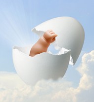 egg donation picture