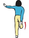 Pictures of Exercises