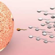 therapies for infertile women