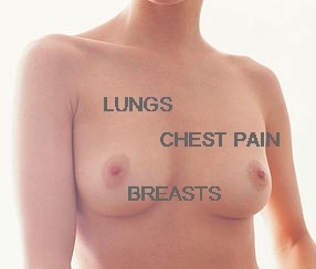 picture of female chest