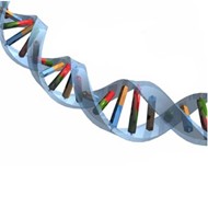genetics