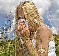 hay fever causes CFS?