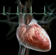 Heart Palpitations in Women