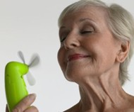 Menopause Hot Flashes