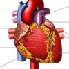 heart pictures