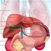diagram of gallbladder