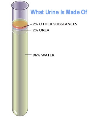 What is urine made of?