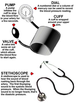 Blood pressure cuff and monitoring device