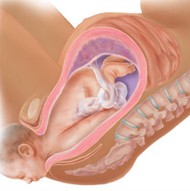 Stages of labor
