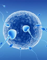 therapies for male infertility