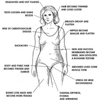 changes in a womans body after menopause