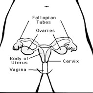 Know The Early Signs
