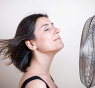 The Journey Towards Menopause