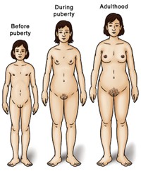 Picture of puberty in girls